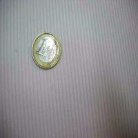 Velours blanc a cotes moyenne0