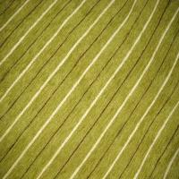 Velours coton d ameublement raye ton vert9