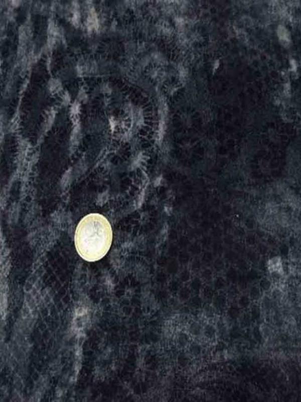 Velours imprime gris bleute