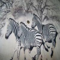 Viscose imprime zebre0