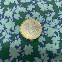 Viscose verte imprime petite fleurs bleu3