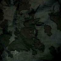 Voile noir devore en polyester8