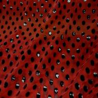 Voile polyester rouge bordeaux a pois noir en vinyl