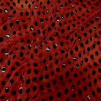 Voile polyester rouge bordeaux a pois noir en vinyl5